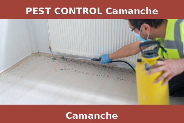 PEST CONTROL Camanche